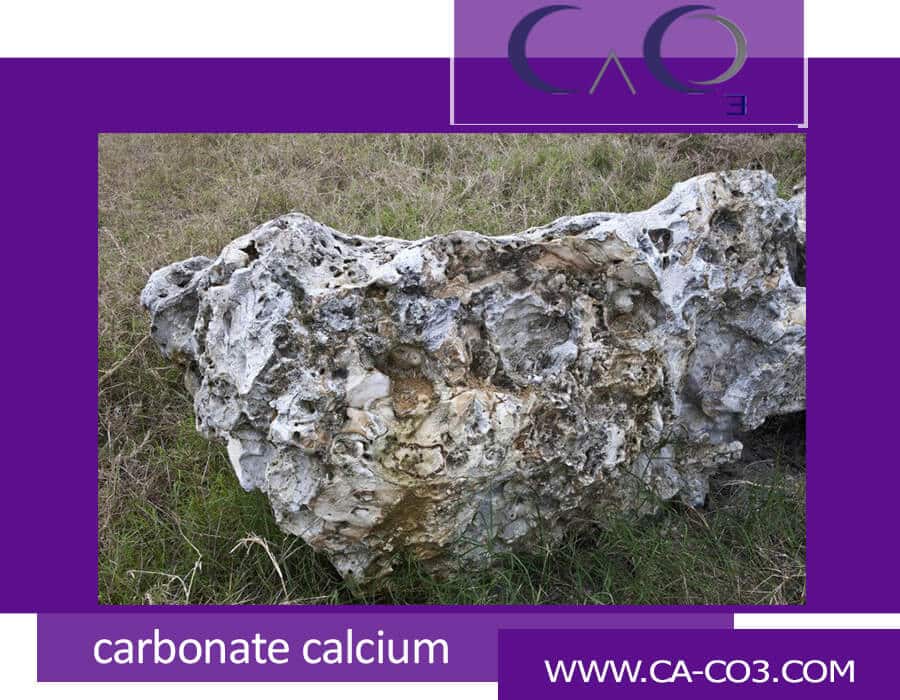 مقایسه کلسیت، سنگ آهک و سنگ مرمر از خانواده سنگهای کربنات کلسیم دار